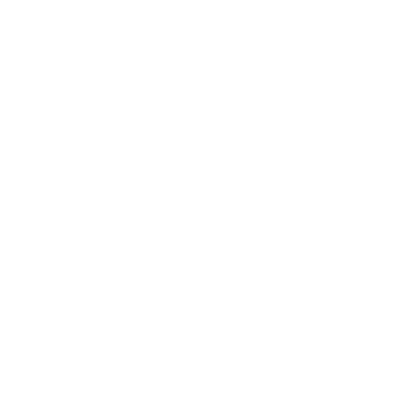 software errors