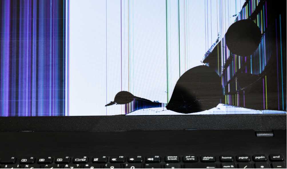 Screen or Display Issue repair in Kathmandu